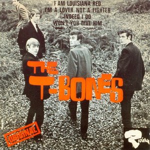 The T-Bones资料,The T-Bones最新歌曲,The T-BonesMV视频,The T-Bones音乐专辑,The T-Bones好听的歌