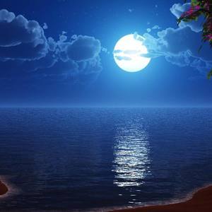 月见资料,月见最新歌曲,月见MV视频,月见音乐专辑,月见好听的歌