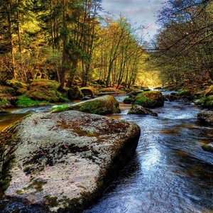 ZJR资料,ZJR最新歌曲,ZJRMV视频,ZJR音乐专辑,ZJR好听的歌