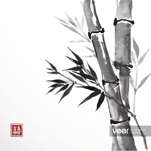 竹子资料,竹子最新歌曲,竹子MV视频,竹子音乐专辑,竹子好听的歌