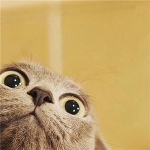 侯跃鹏资料,侯跃鹏最新歌曲,侯跃鹏MV视频,侯跃鹏音乐专辑,侯跃鹏好听的歌