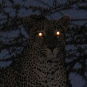 张富贵资料,张富贵最新歌曲,张富贵MV视频,张富贵音乐专辑,张富贵好听的歌