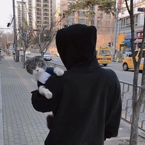 迪猫资料,迪猫最新歌曲,迪猫MV视频,迪猫音乐专辑,迪猫好听的歌