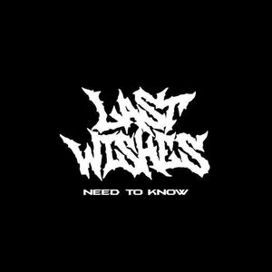 LAST WISHES资料,LAST WISHES最新歌曲,LAST WISHESMV视频,LAST WISHES音乐专辑,LAST WISHES好听的歌