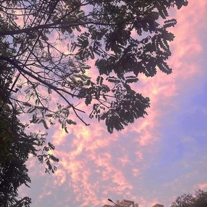 四年半 (DJ 阿树版)