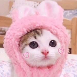 穆潇资料,穆潇最新歌曲,穆潇MV视频,穆潇音乐专辑,穆潇好听的歌