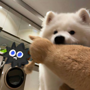 爱如潮水remix