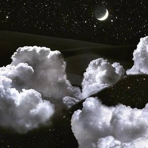 Shrimps资料,Shrimps最新歌曲,ShrimpsMV视频,Shrimps音乐专辑,Shrimps好听的歌