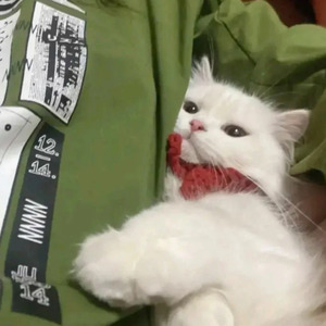 灼滟资料,灼滟最新歌曲,灼滟MV视频,灼滟音乐专辑,灼滟好听的歌