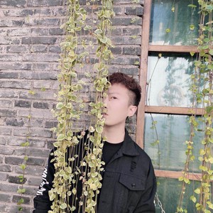 高原资料,高原最新歌曲,高原MV视频,高原音乐专辑,高原好听的歌