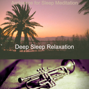 Deep Sleep Relaxation资料,Deep Sleep Relaxation最新歌曲,Deep Sleep RelaxationMV视频,Deep Sleep Relaxation音乐专辑,Deep Sleep Relaxation好听的歌