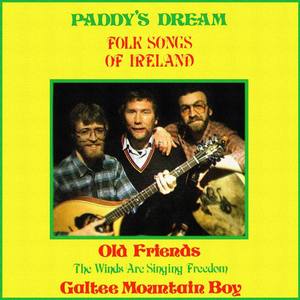 Paddy'S Dream