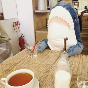 鲨鱼辣椒资料,鲨鱼辣椒最新歌曲,鲨鱼辣椒MV视频,鲨鱼辣椒音乐专辑,鲨鱼辣椒好听的歌