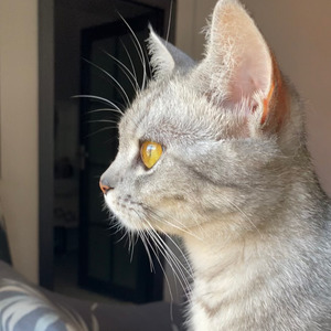 marry资料,marry最新歌曲,marryMV视频,marry音乐专辑,marry好听的歌