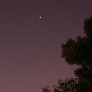 小宇like资料,小宇like最新歌曲,小宇likeMV视频,小宇like音乐专辑,小宇like好听的歌