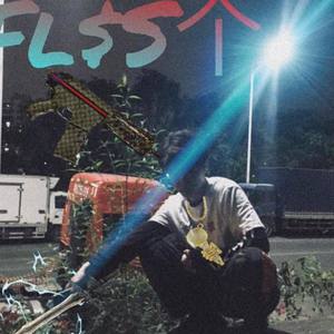 Fl$S个