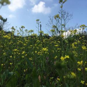 二南组合资料,二南组合最新歌曲,二南组合MV视频,二南组合音乐专辑,二南组合好听的歌