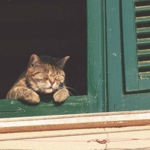 亦宸资料,亦宸最新歌曲,亦宸MV视频,亦宸音乐专辑,亦宸好听的歌