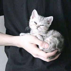 清清清i资料,清清清i最新歌曲,清清清iMV视频,清清清i音乐专辑,清清清i好听的歌