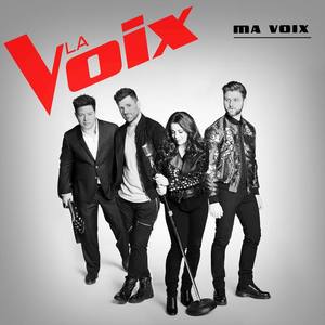 La Voix 5