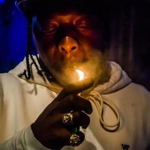 The Gatlin资料,The Gatlin最新歌曲,The GatlinMV视频,The Gatlin音乐专辑,The Gatlin好听的歌