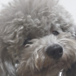 李资料,李最新歌曲,李MV视频,李音乐专辑,李好听的歌