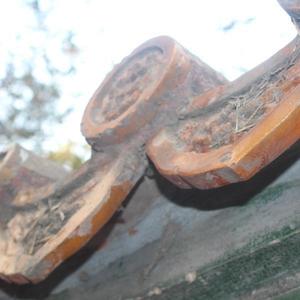 rondy资料,rondy最新歌曲,rondyMV视频,rondy音乐专辑,rondy好听的歌