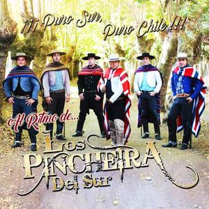 Los Pincheira del Sur资料,Los Pincheira del Sur最新歌曲,Los Pincheira del SurMV视频,Los Pincheira del Sur音乐专辑,Los Pincheira del Sur好听的歌