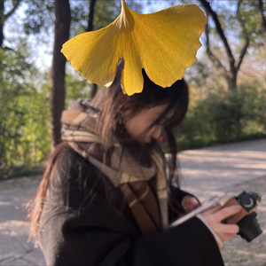 苍术资料,苍术最新歌曲,苍术MV视频,苍术音乐专辑,苍术好听的歌