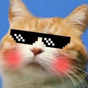 我是你的旺仔呀资料,我是你的旺仔呀最新歌曲,我是你的旺仔呀MV视频,我是你的旺仔呀音乐专辑,我是你的旺仔呀好听的歌