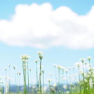 himmel-Ever dream 未夢 (Remix)