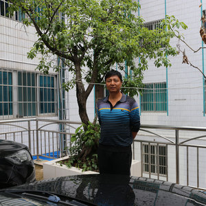 杨青松资料,杨青松最新歌曲,杨青松MV视频,杨青松音乐专辑,杨青松好听的歌