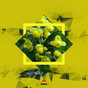 Huba资料,Huba最新歌曲,HubaMV视频,Huba音乐专辑,Huba好听的歌