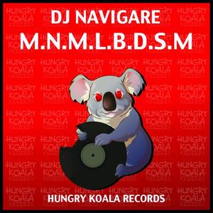 Dj Navigare