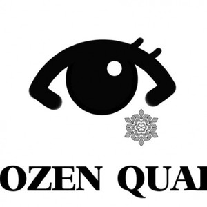 FROZEN QUALIA