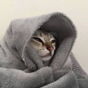 The Ghost资料,The Ghost最新歌曲,The GhostMV视频,The Ghost音乐专辑,The Ghost好听的歌