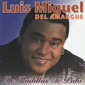 Luis Miguel del Amargue