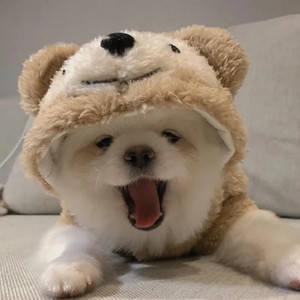 Answerrr资料,Answerrr最新歌曲,AnswerrrMV视频,Answerrr音乐专辑,Answerrr好听的歌