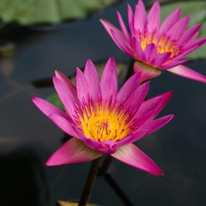 邬春杰资料,邬春杰最新歌曲,邬春杰MV视频,邬春杰音乐专辑,邬春杰好听的歌