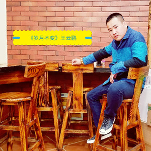 王云鹏资料,王云鹏最新歌曲,王云鹏MV视频,王云鹏音乐专辑,王云鹏好听的歌
