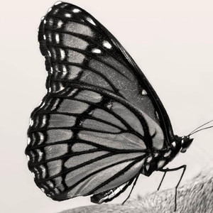 唐新杰资料,唐新杰最新歌曲,唐新杰MV视频,唐新杰音乐专辑,唐新杰好听的歌