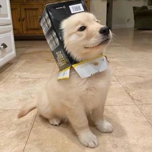 思资料,思最新歌曲,思MV视频,思音乐专辑,思好听的歌