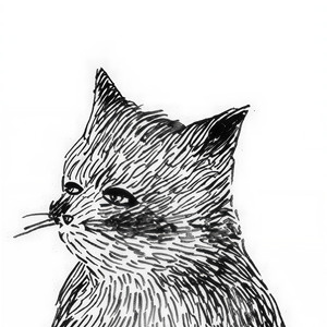 Cat naps资料,Cat naps最新歌曲,Cat napsMV视频,Cat naps音乐专辑,Cat naps好听的歌