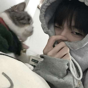 半岛铁盒 (偲雯)