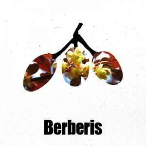 Daniel Meister资料,Daniel Meister最新歌曲,Daniel MeisterMV视频,Daniel Meister音乐专辑,Daniel Meister好听的歌