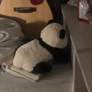 我是飞飞鱼资料,我是飞飞鱼最新歌曲,我是飞飞鱼MV视频,我是飞飞鱼音乐专辑,我是飞飞鱼好听的歌