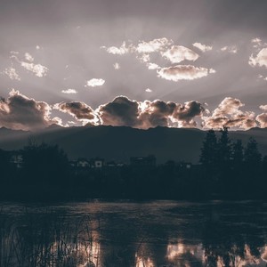 折两枝资料,折两枝最新歌曲,折两枝MV视频,折两枝音乐专辑,折两枝好听的歌