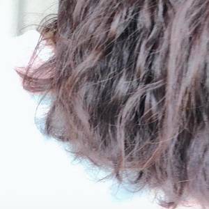 策风资料,策风最新歌曲,策风MV视频,策风音乐专辑,策风好听的歌