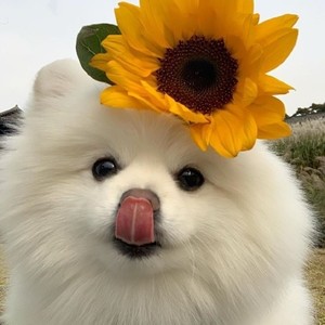 宝歌儿资料,宝歌儿最新歌曲,宝歌儿MV视频,宝歌儿音乐专辑,宝歌儿好听的歌