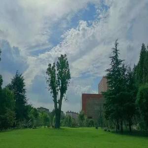 兔子资料,兔子最新歌曲,兔子MV视频,兔子音乐专辑,兔子好听的歌